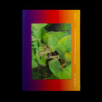 Alien Invader Super Baby - Synchromaterialism (VI) - Onomatopee 120.1