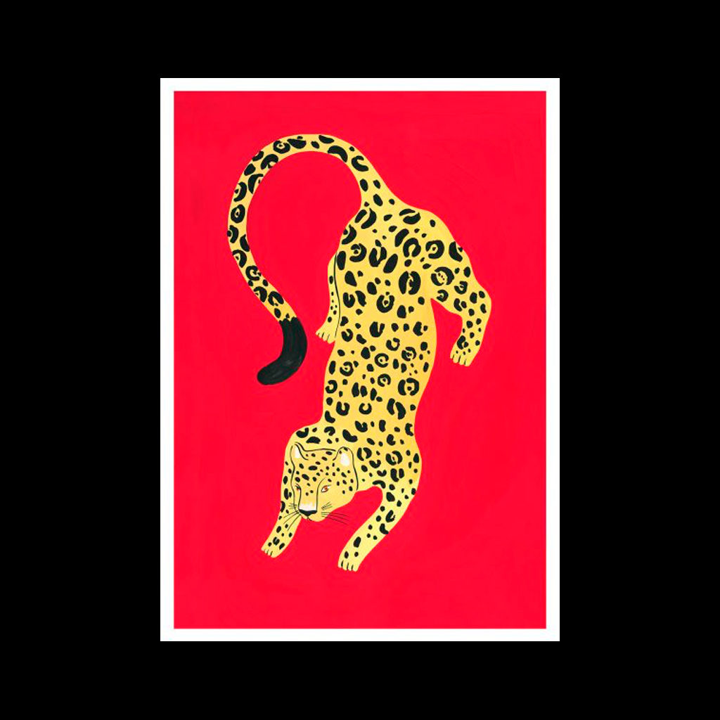 Leopard