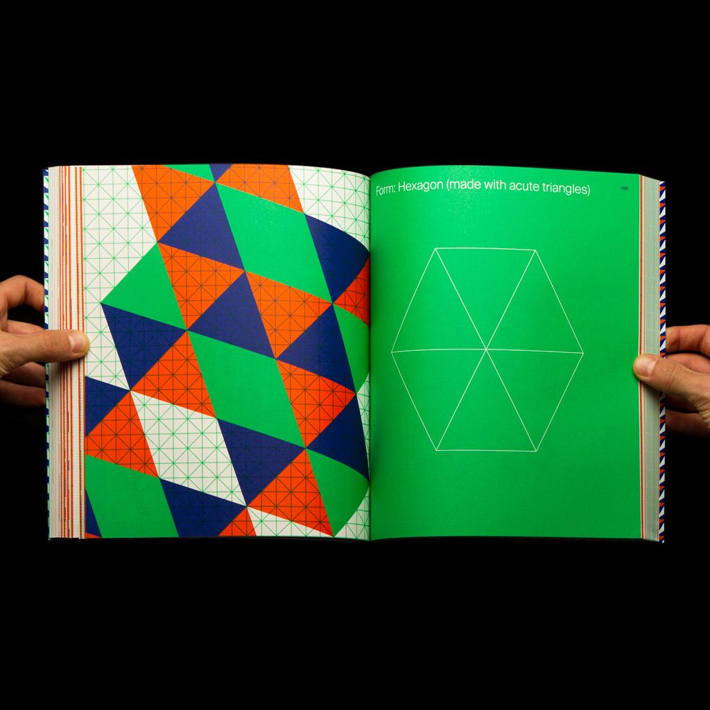 Flexible Visual Systems