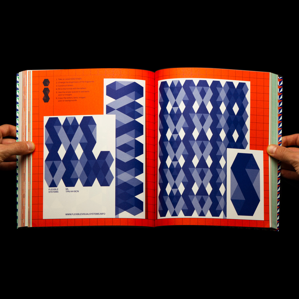 Flexible Visual Systems