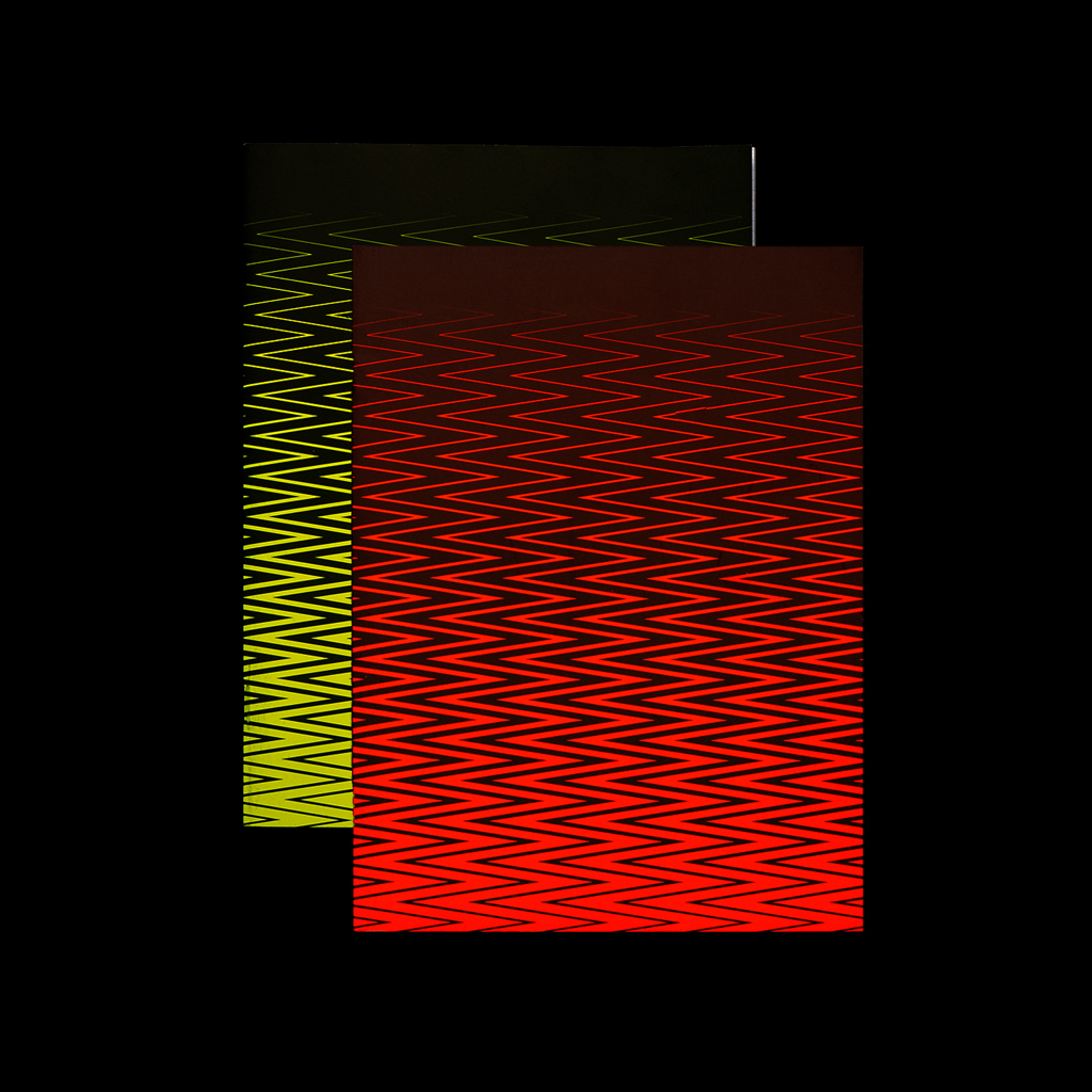 Notebook Fluo (L) - 2 Pack