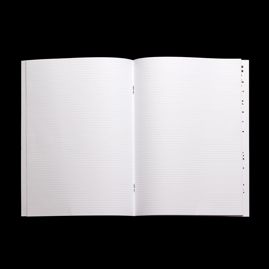 Notebook Fluo (L) - 2 Pack