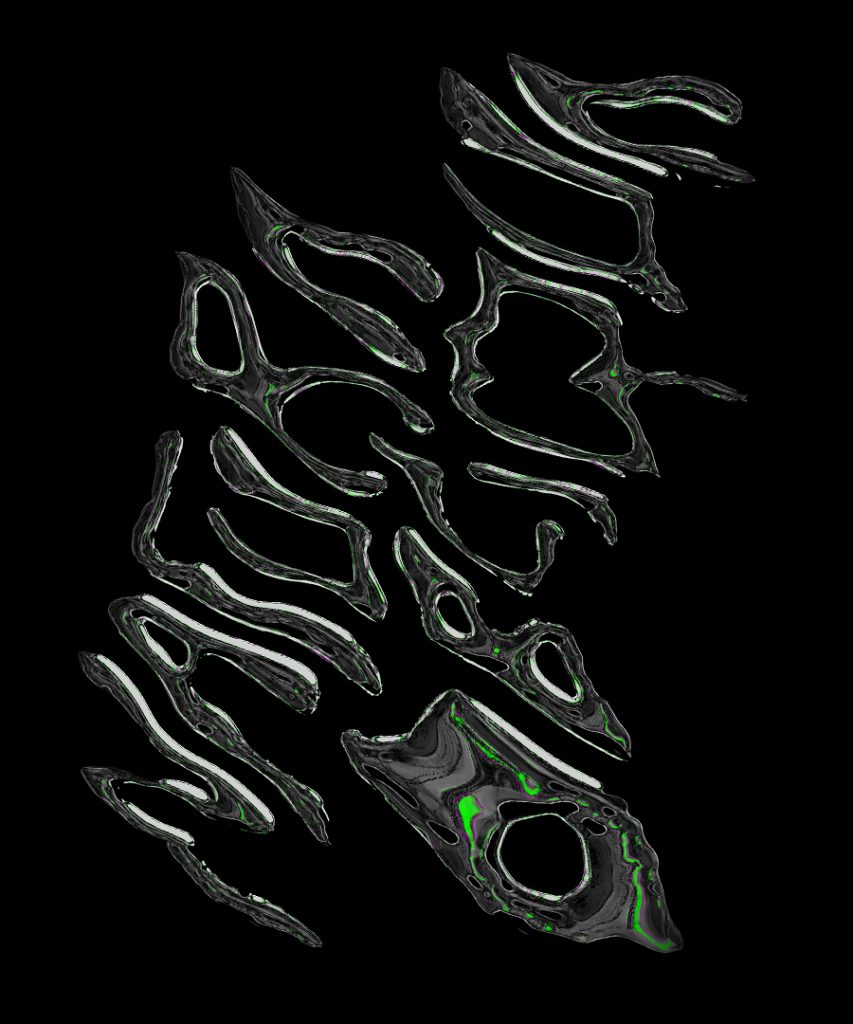 Natura Obliqua — giosampietro