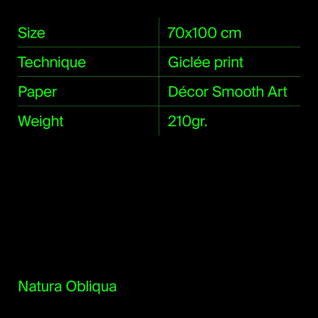 Print #2 - Natura Obliqua