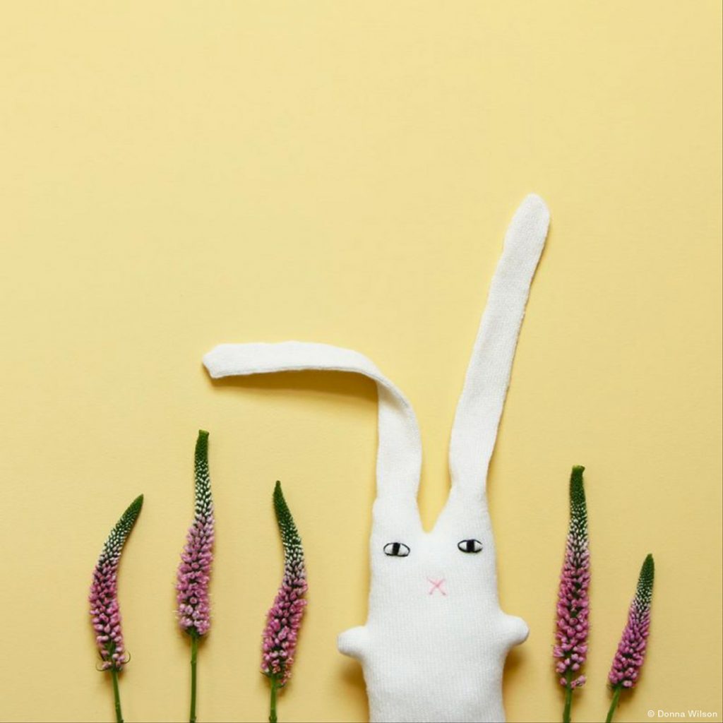 Brian Bunny – Cashmere