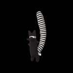 Rudie Raccoon