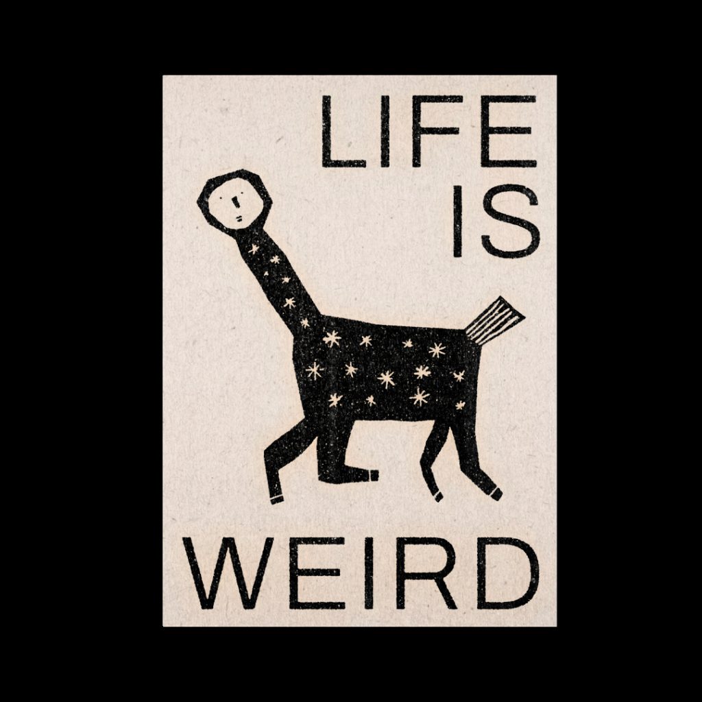 Life is Weird