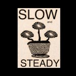 Slow and Steady
