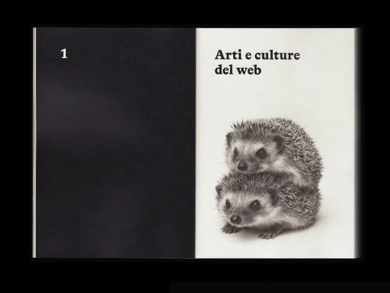 La complessità dell’arte, l’arte della complessità